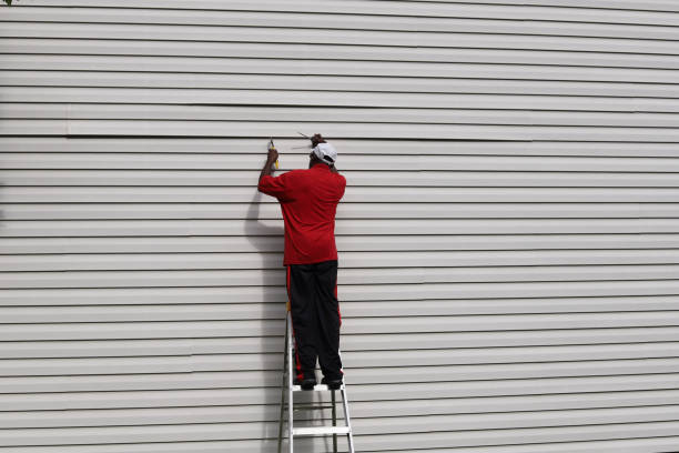 Best Aluminum Siding Installation  in Macarthur, WV